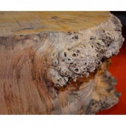 table basse tronc