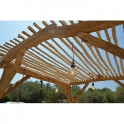 Pergola bois robinier
