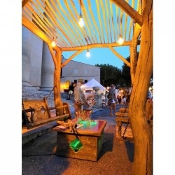 Pergola bois robinier
