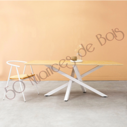 PIED DE TABLE METAL MIKADO DESAXE L'AMBITIEUX RIPATON