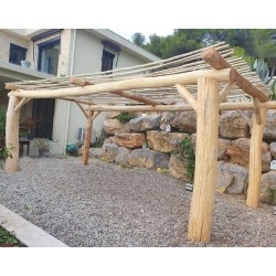 pergola robinier naturel 6m x 3m