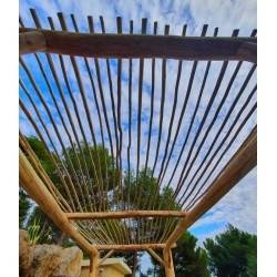 pergola naturelle acacia et eucalyptus