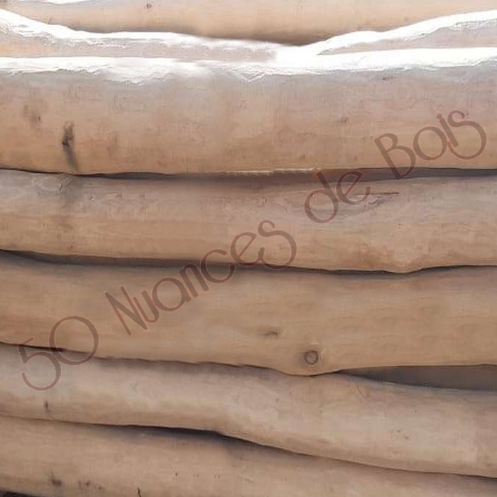 poteaux acacia (robinier) pour pergolas ou aires de jeux