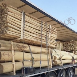 poteaux acacia (robinier) pour pergolas ou aires de jeux