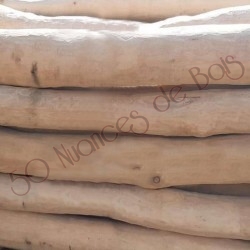 copy of Branches rondins...