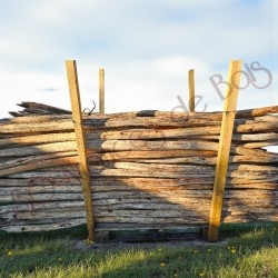 Piquets Ø 6/8 cm robinier (...